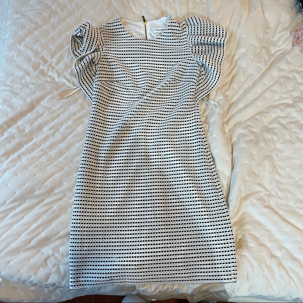 Calvin Klein Ruffled Polka Dot Formal Mini Dress